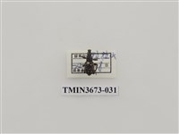 藏品(象鼻蟲(1))的圖片